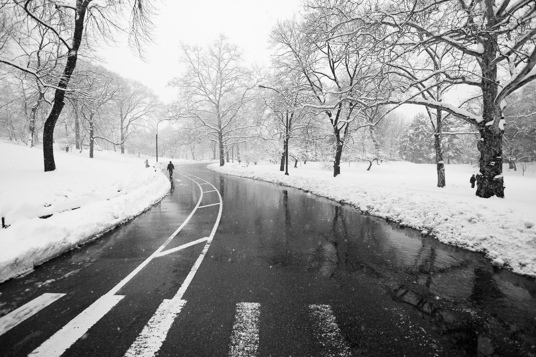 Winter, Central Park, NYC