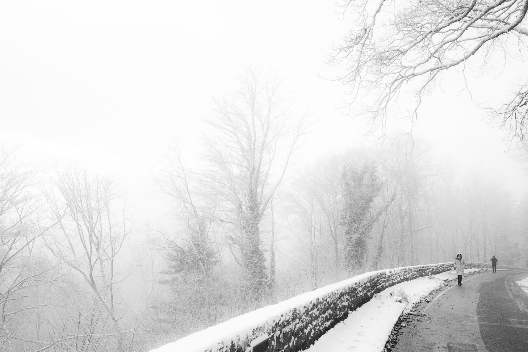 Winter Road, Alsace, France